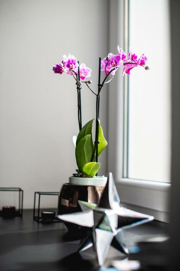 Hanna'S Suite With Free Parking Любляна Екстериор снимка